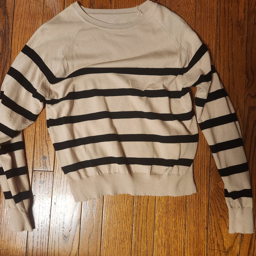 Classic Beige & Black Striped Crewneck Sweater